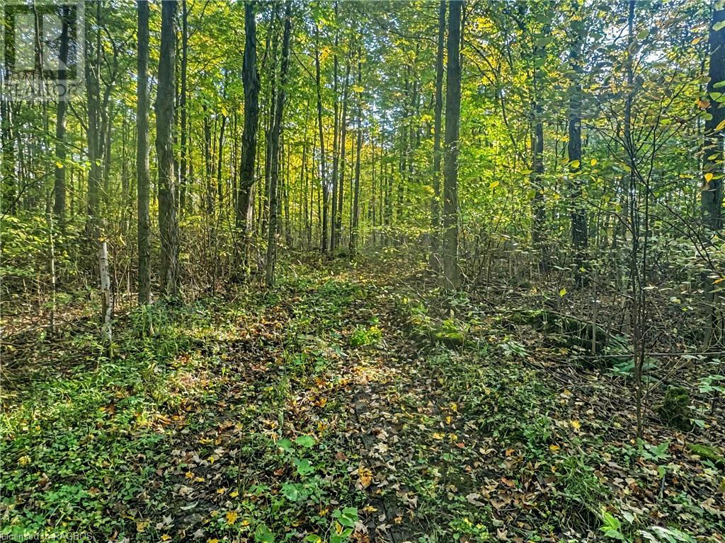 Pt Lt 6 9th Line, Grey Highlands, Ontario  N0C 1H0 - Photo 6 - 40646137