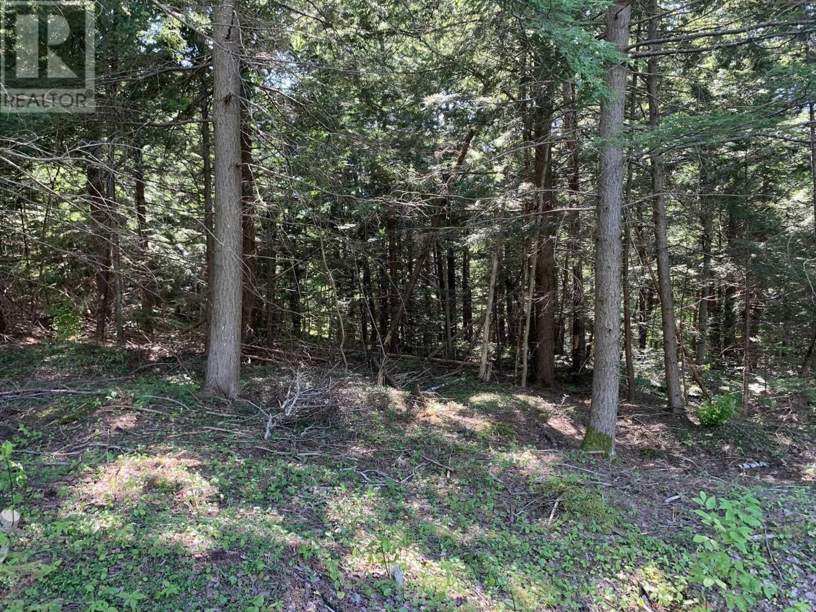 Lot Sunken Lake Road, Deep Hollow, Nova Scotia  B4P 2R2 - Photo 14 - 202417908