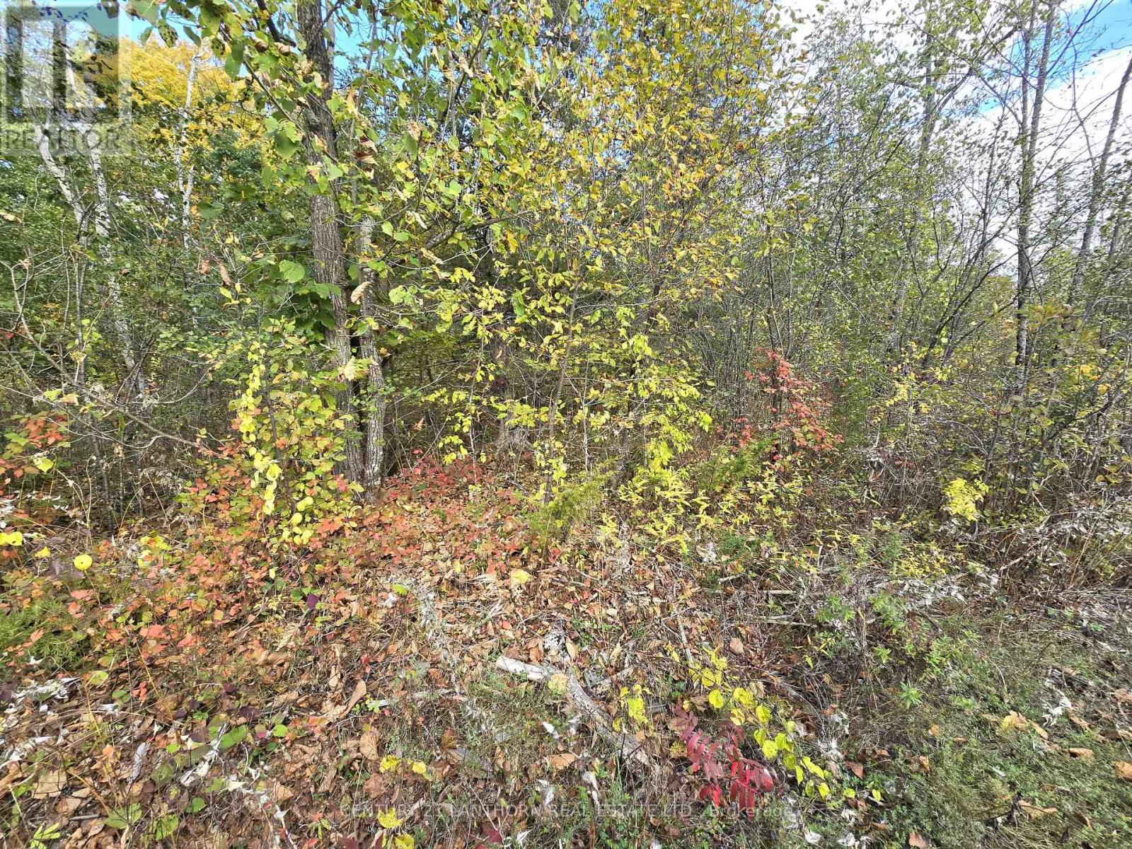 0 Melrose Road, Tyendinaga, Ontario  K0K 2N0 - Photo 10 - X9393400