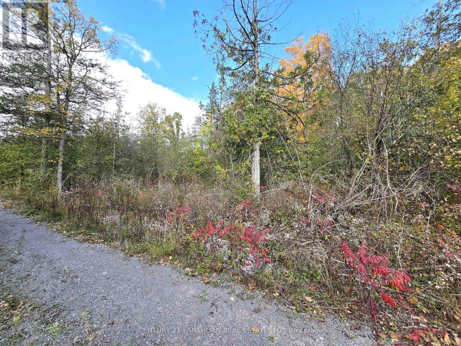 0 Melrose Road, Tyendinaga, Ontario  K0K 2N0 - Photo 11 - X9393400