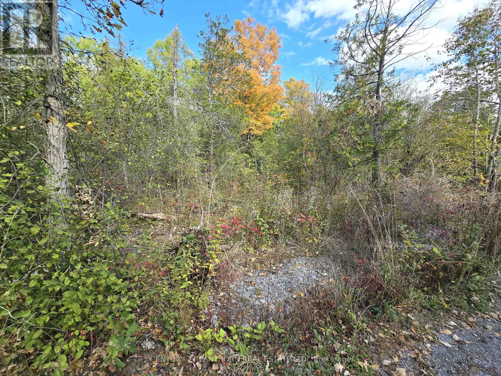 0 Melrose Road, Tyendinaga, Ontario  K0K 2N0 - Photo 13 - X9393400