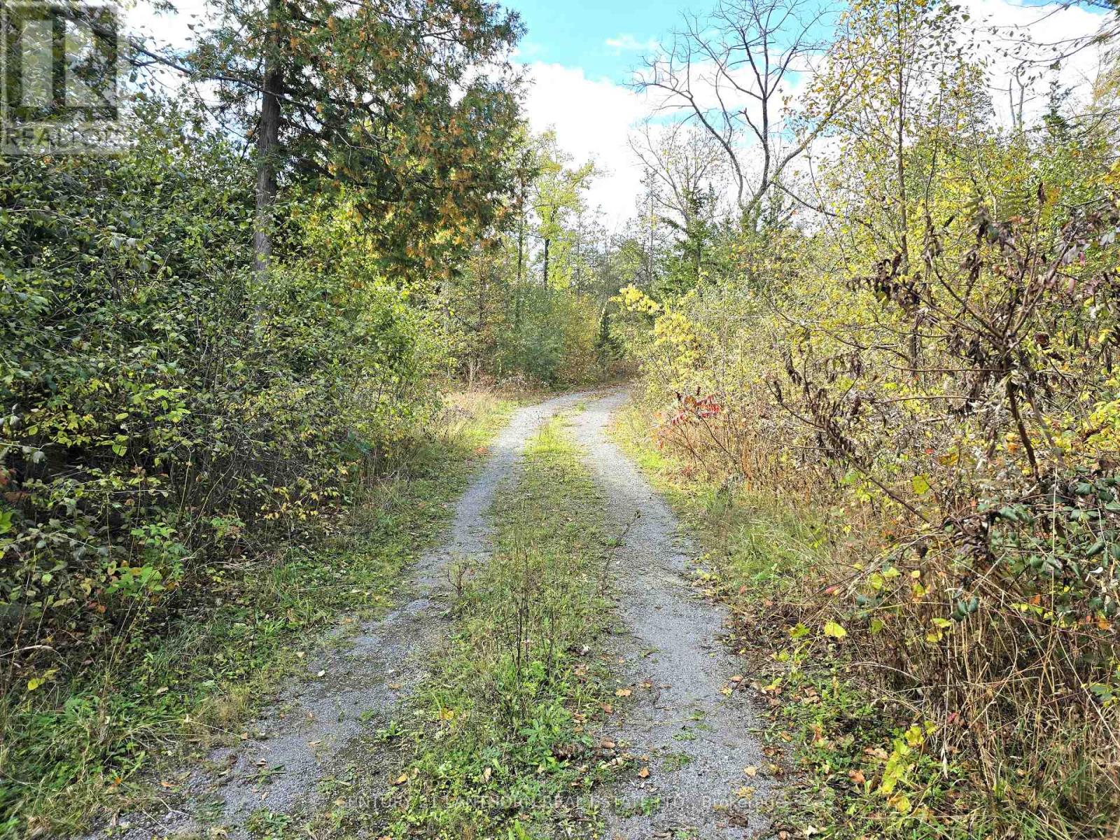 0 Melrose Road, Tyendinaga, Ontario  K0K 2N0 - Photo 4 - X9393400