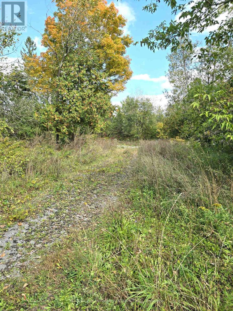 0 Melrose Road, Tyendinaga, Ontario  K0K 2N0 - Photo 9 - X9393400