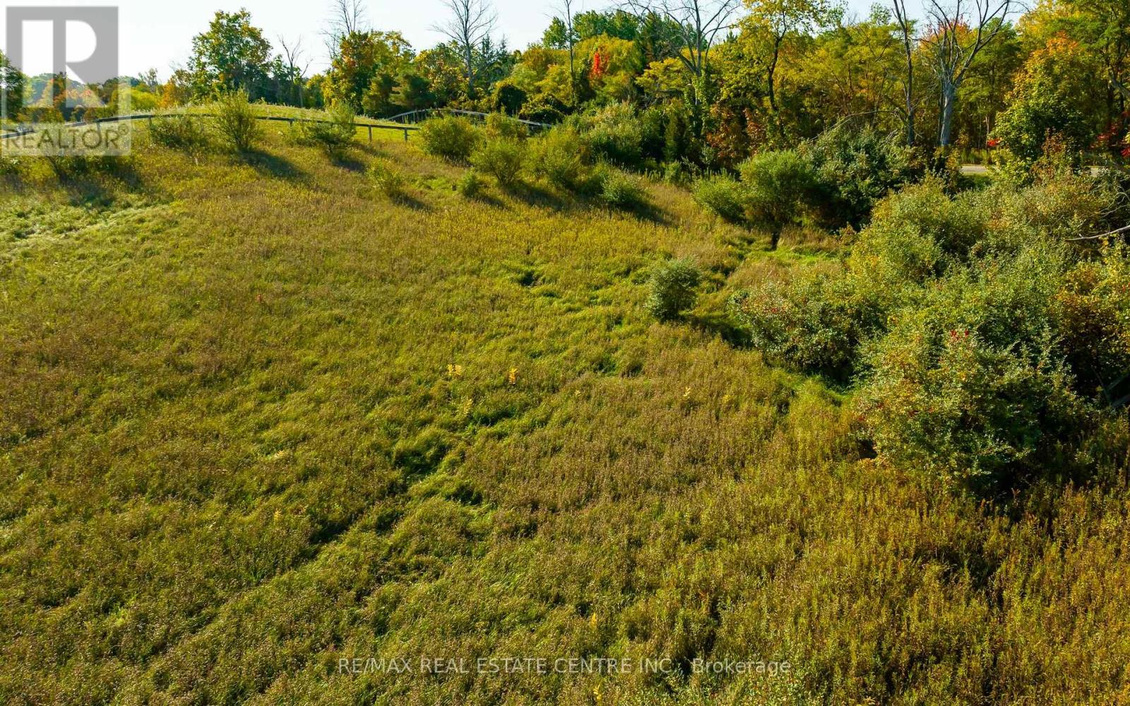 17479 The Gore Road, Caledon, Ontario  L7E 0X6 - Photo 14 - W9393549