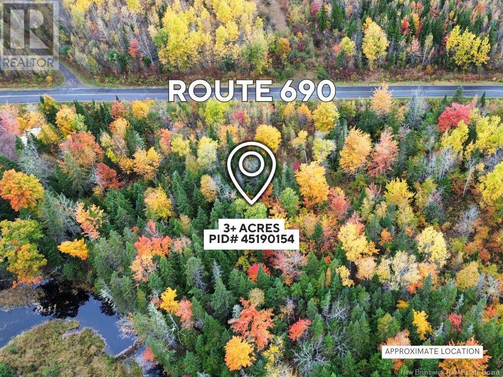 Lot 690 Route, Flowers Cove, New Brunswick  E4B 1K3 - Photo 4 - NB107643