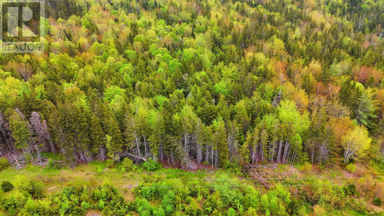 103 Acres On East Lake Ainslie Rd, East Lake Ainslie, Nova Scotia  B0E 3M0 - Photo 11 - 202412759