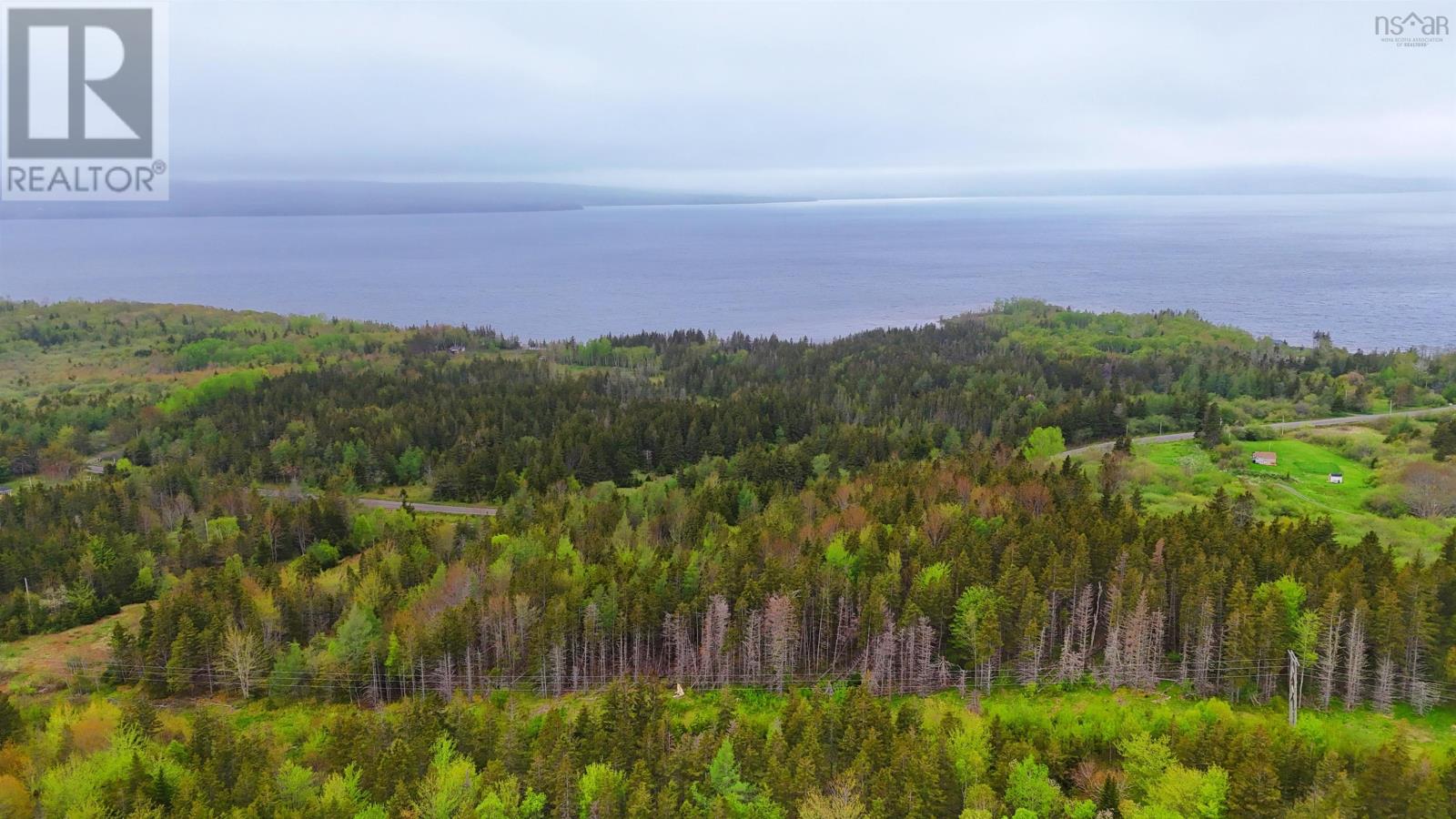 103 Acres On East Lake Ainslie Rd, East Lake Ainslie, Nova Scotia  B0E 3M0 - Photo 21 - 202412759