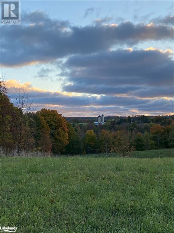 0 Euphrasia St Vincent Townline, Meaford, Ontario  N4L 1W6 - Photo 8 - 40646249