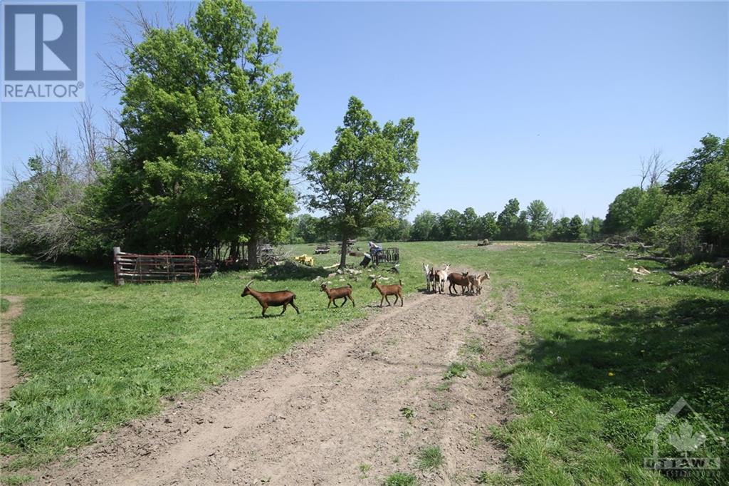 3159 8th Line Road, Metcalfe, Ontario  K0A 2P0 - Photo 17 - 1405662