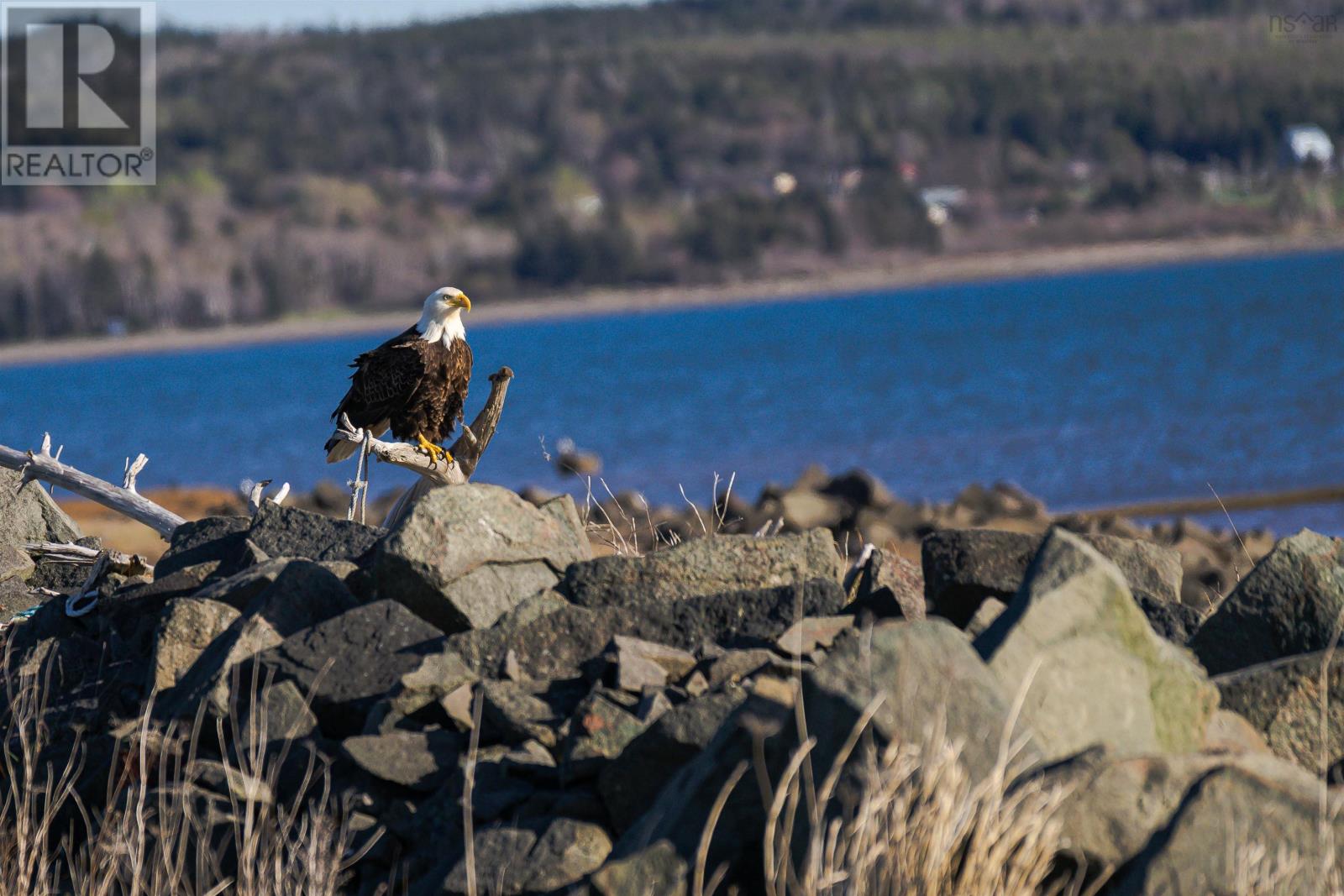 Lorem Ipsum Dolo, Rossway, Nova Scotia  B0V  - Photo 2 - DEMO26908647