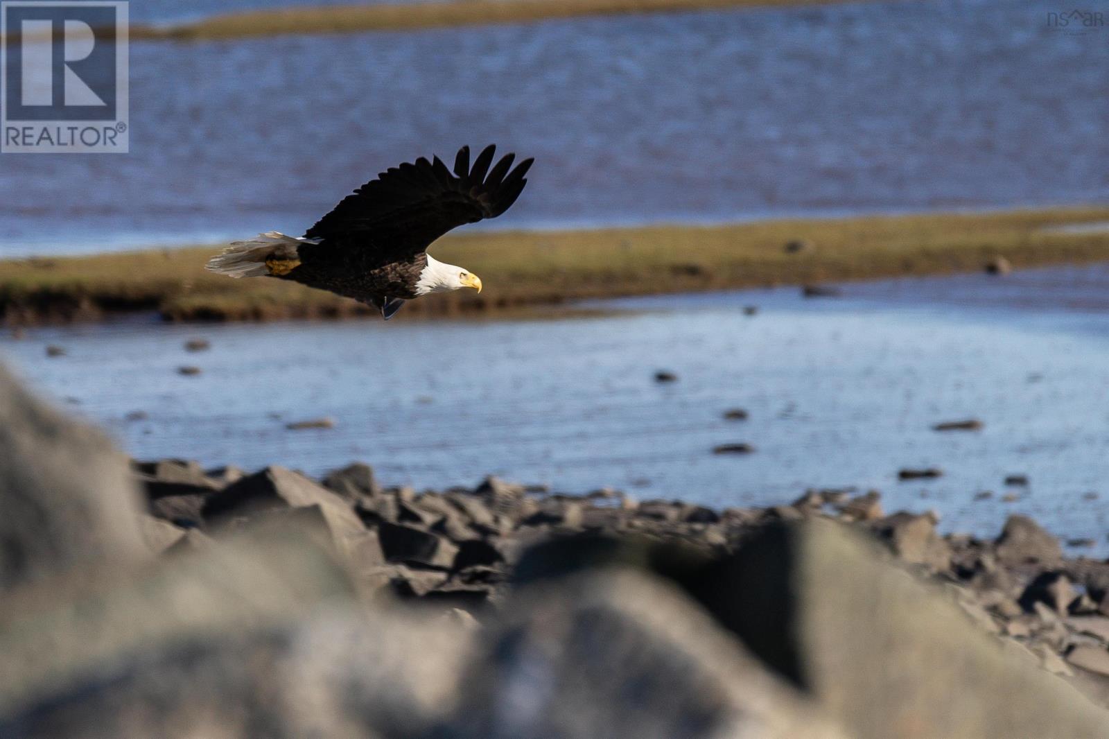 Lorem Ipsum Dolo, Rossway, Nova Scotia  B0V  - Photo 3 - DEMO26908647