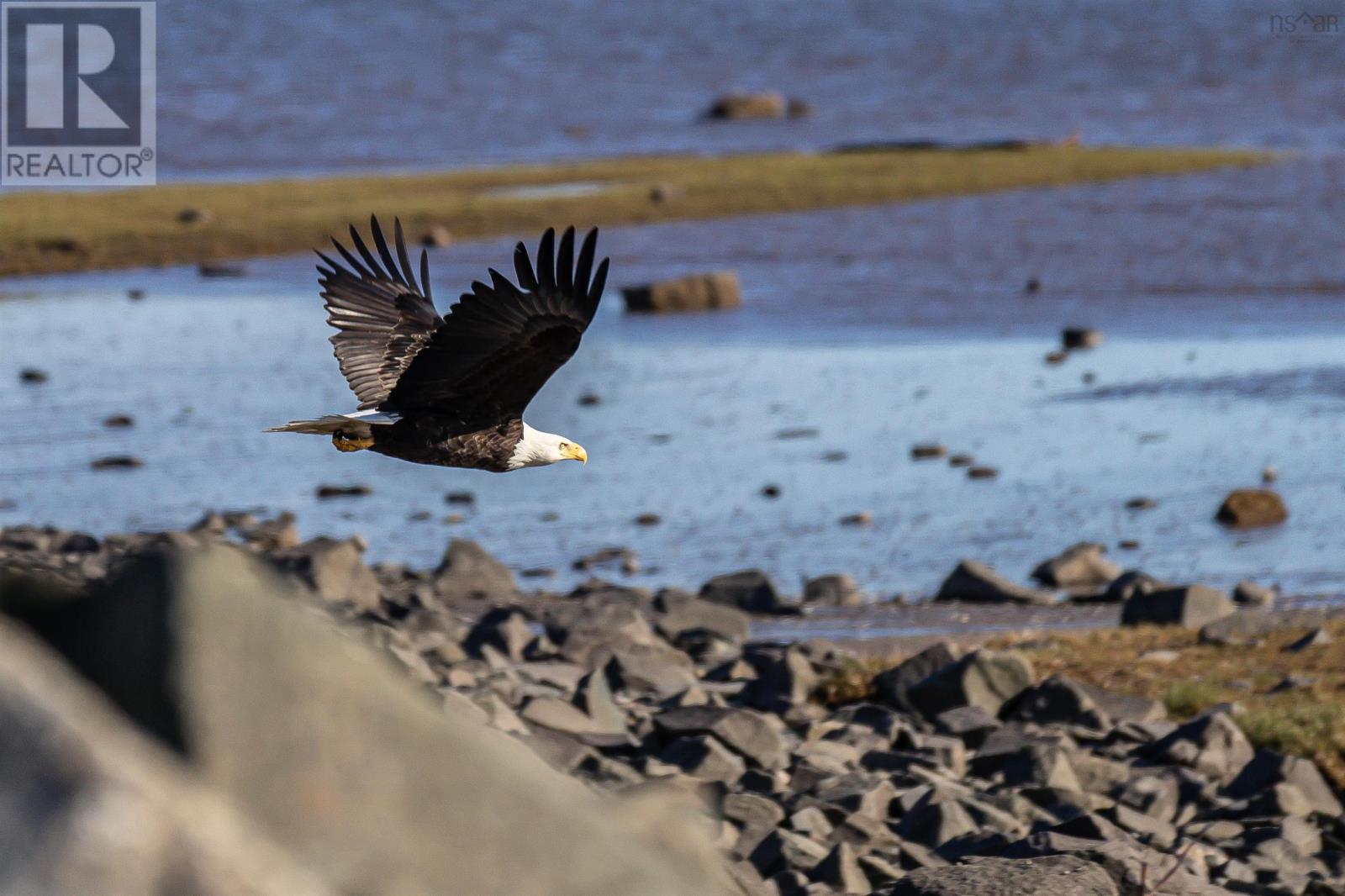 Lorem Ipsum Dolo, Rossway, Nova Scotia  B0V  - Photo 4 - DEMO26908647