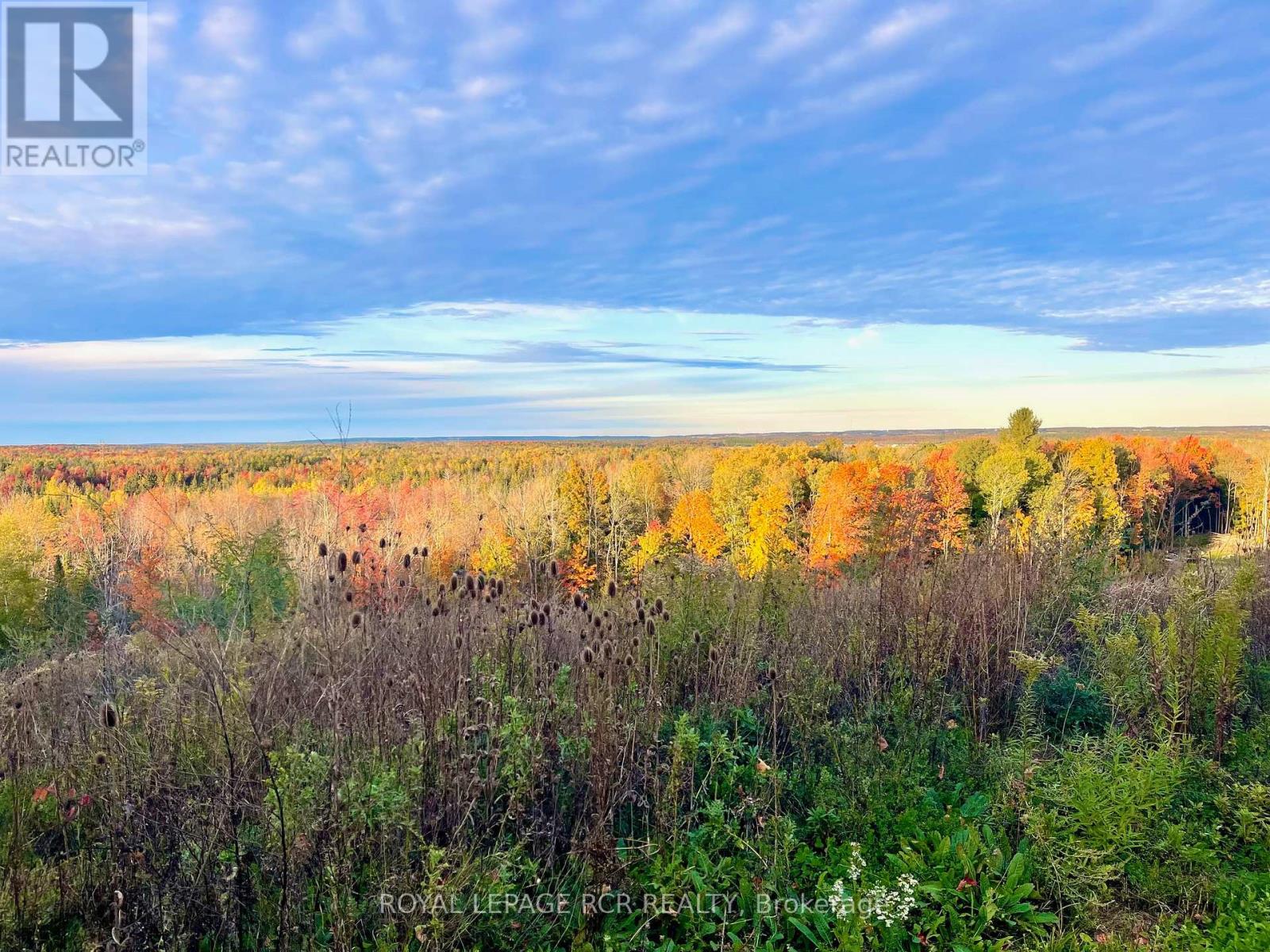 6651 Third Line, Essa, Ontario  L9R 1V2 - Photo 16 - N8350072