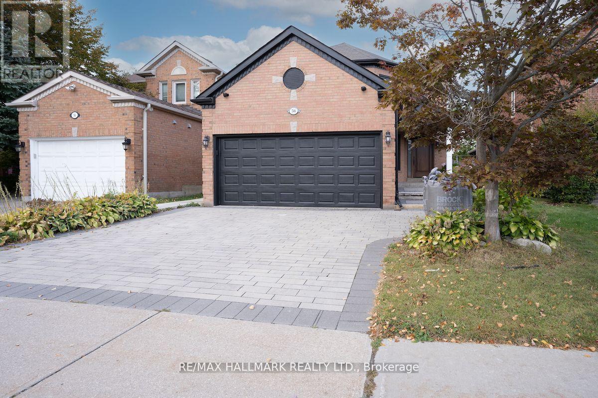 Bsmt - 56 Buckhorn Avenue, Richmond Hill, Ontario  L4C 0E5 - Photo 2 - N9395902