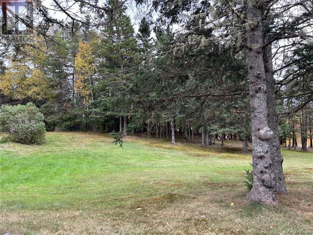 Property at 21 Hammondview Terrace image