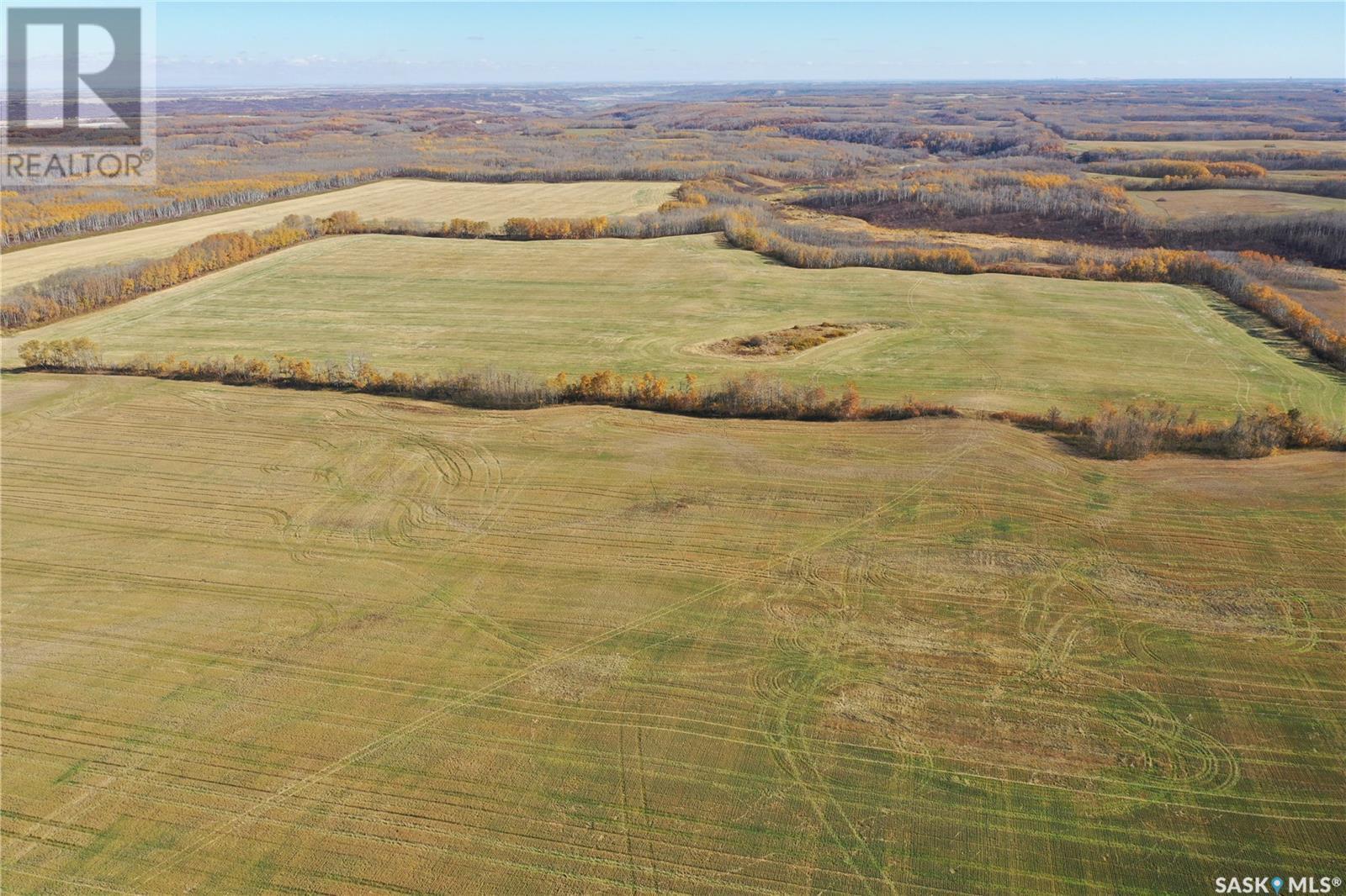 Tayfel Farm, Willowdale Rm No. 153, Saskatchewan  S0A 0X0 - Photo 19 - SK985825