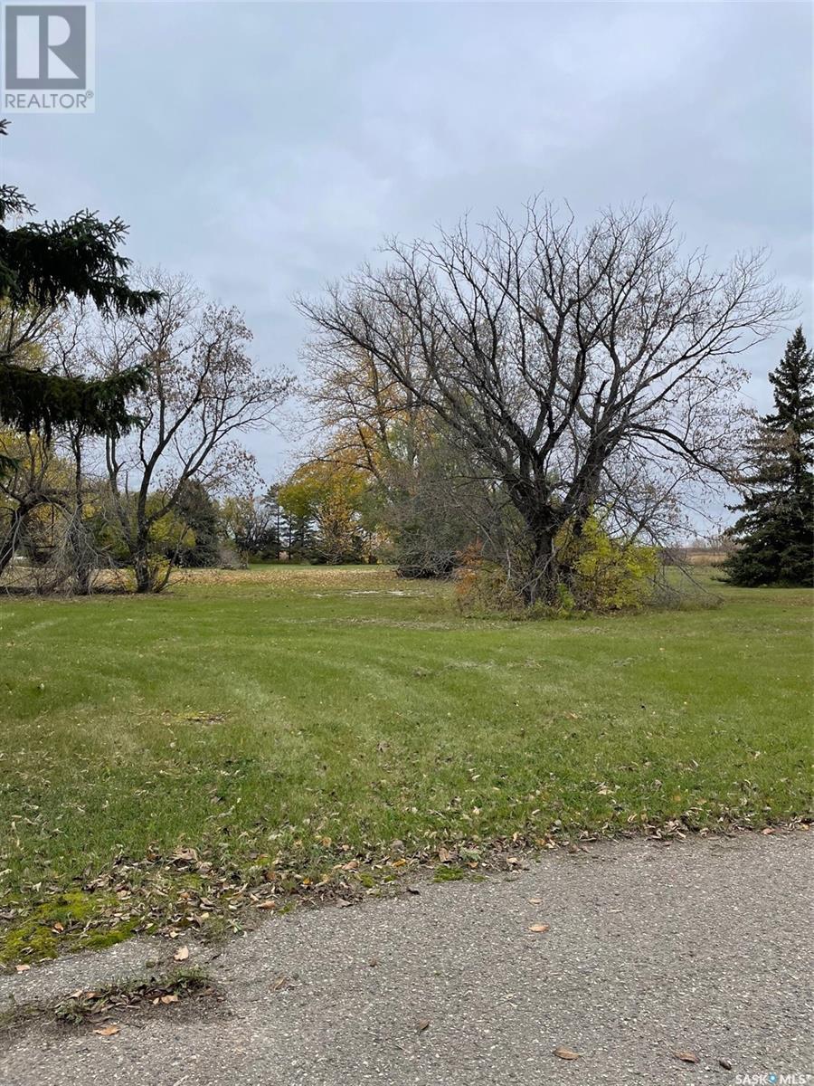 215 & 221 York Road W, Yorkton, Saskatchewan  S3N 2V6 - Photo 2 - SK986087