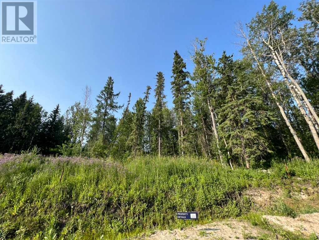 Lot 25, County Of, Alberta  T8W 5K2 - Photo 2 - A2117453