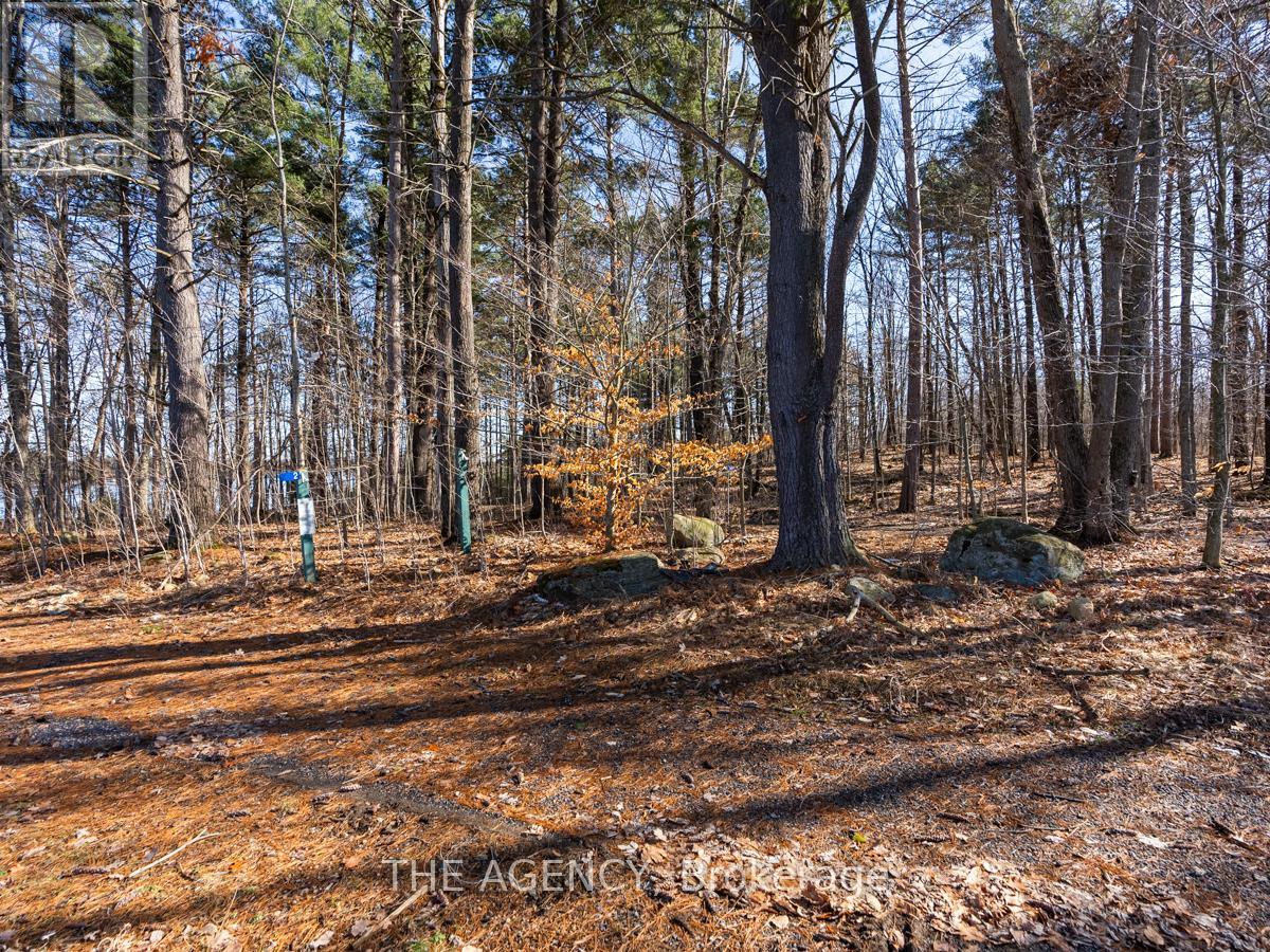 39 - 2054 Peninsula Road, Muskoka Lakes, Ontario  P0B 1G0 - Photo 31 - X9346656