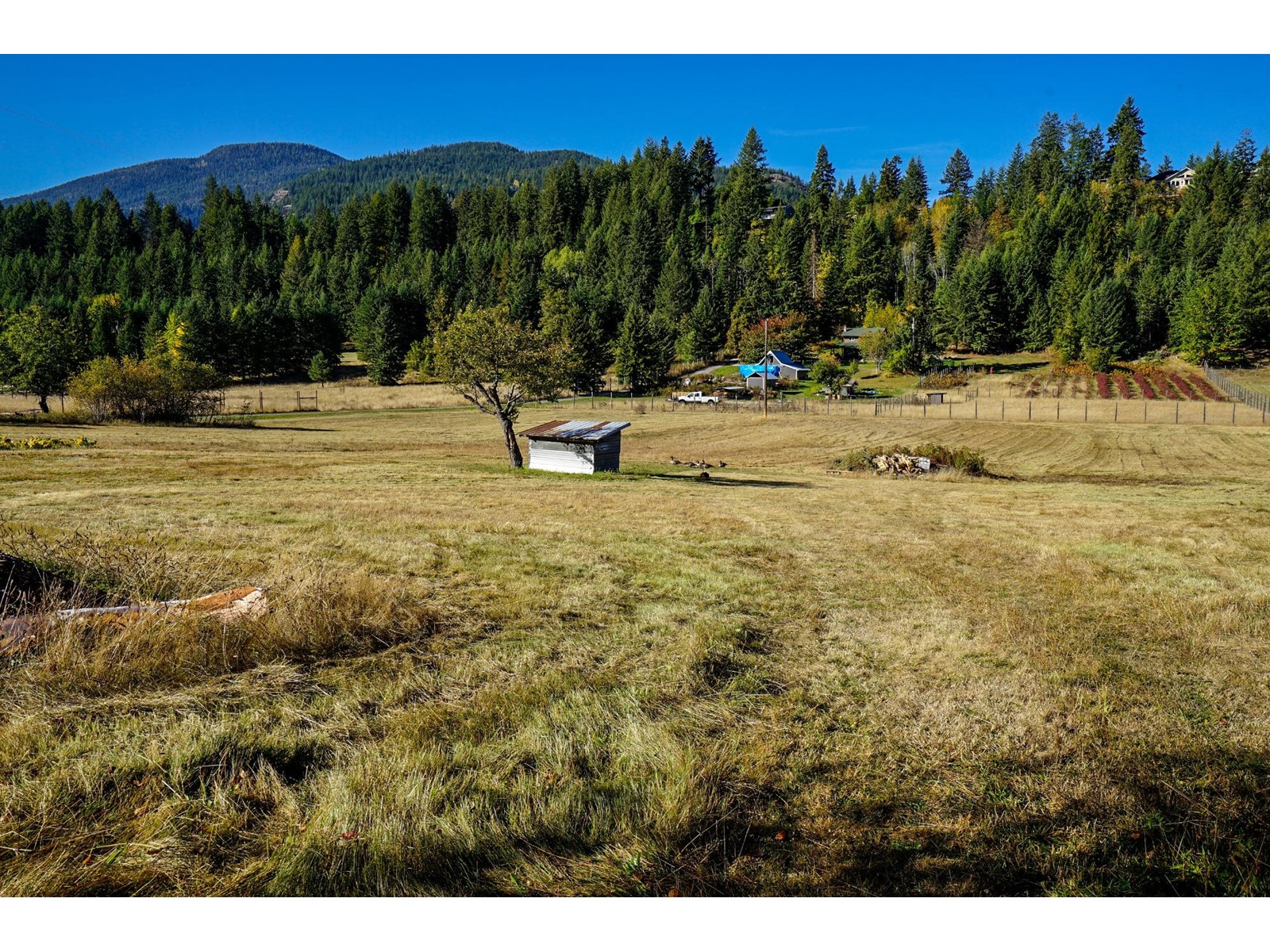 2697 Shoreacres Road, Castlegar, British Columbia  V1N 4R1 - Photo 31 - 2480046