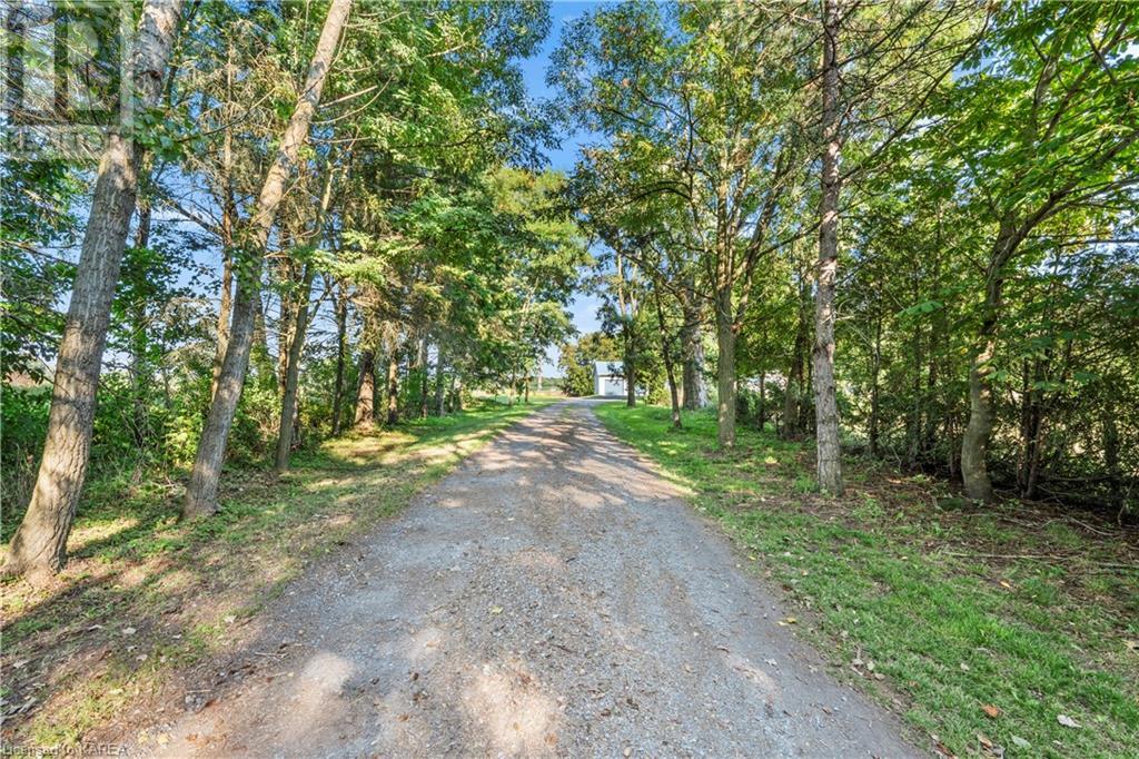 3070 Old Boy Road, Inverary, Ontario  K0H 1X0 - Photo 3 - 40663076