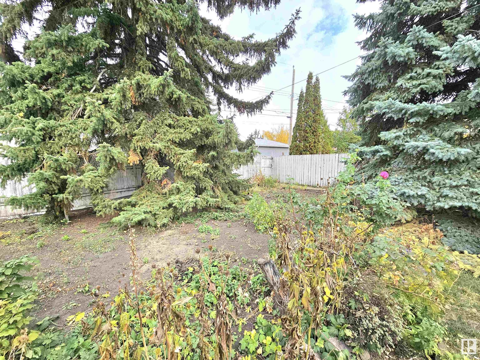 3606 112 Av Nw, Edmonton, Alberta  T5W 0M4 - Photo 32 - E4410464