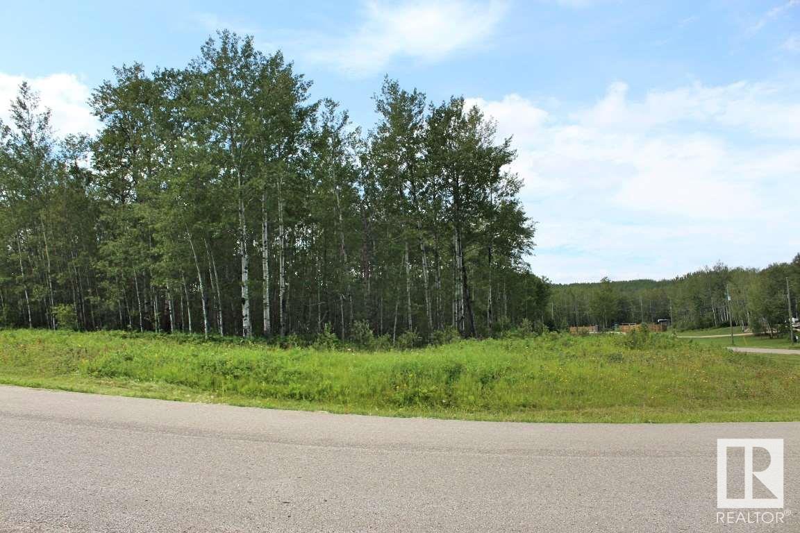 39 62331 Rge Rd 411a, Rural Bonnyville M.d., Alberta  T9M 1P1 - Photo 1 - E4410455