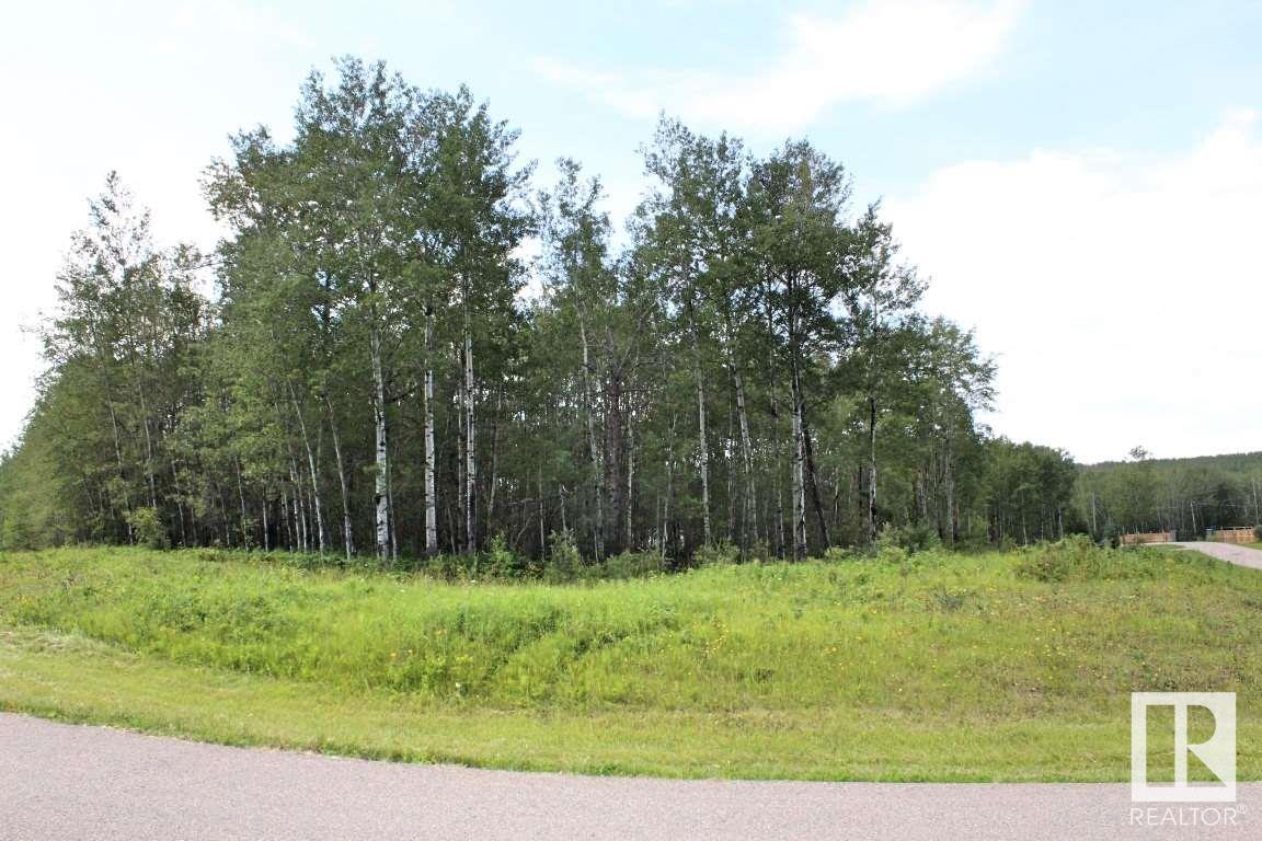 39 62331 Rge Rd 411a, Rural Bonnyville M.d., Alberta  T9M 1P1 - Photo 2 - E4410455