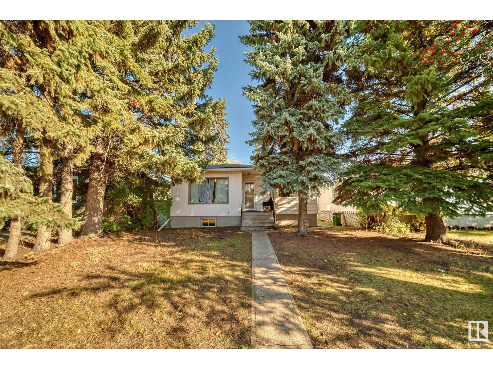 9543 87 St Nw, Edmonton, Alberta  T6C 3W9 - Photo 43 - E4410488