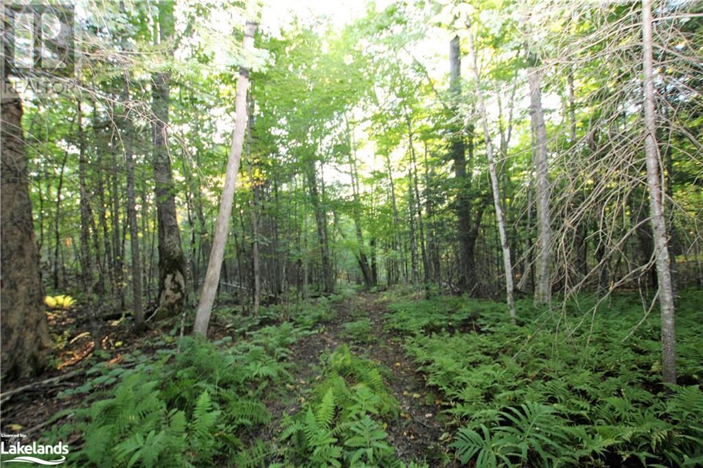 0a Pilgers Road, Nipissing, Ontario  P0H 1W0 - Photo 16 - 40661326