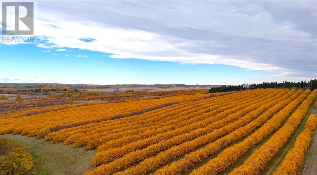 29250 Rr 34, Rural Mountain View County, Alberta  T0M 0S0 - Photo 1 - A2173408