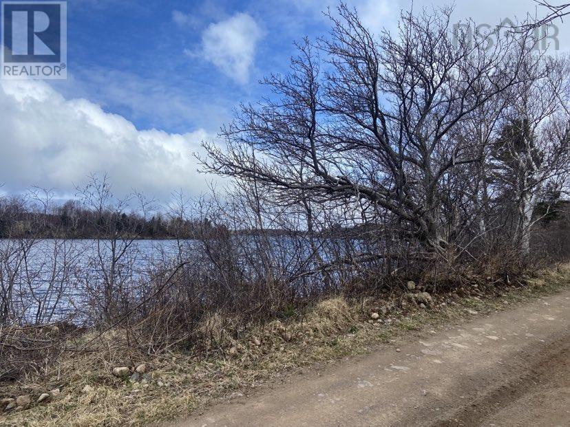 Chemin Du Lac Road, Grand Étang, Nova Scotia  B0E 1H0 - Photo 8 - 202407609