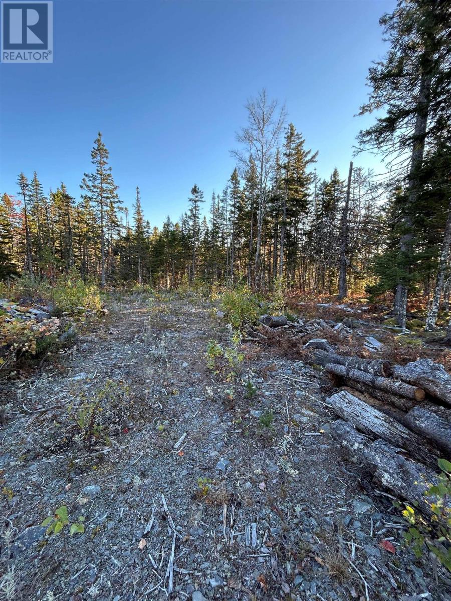 Unit 83 Heritage Way, East Uniacke, Nova Scotia  B0N 1Z0 - Photo 3 - 202424721