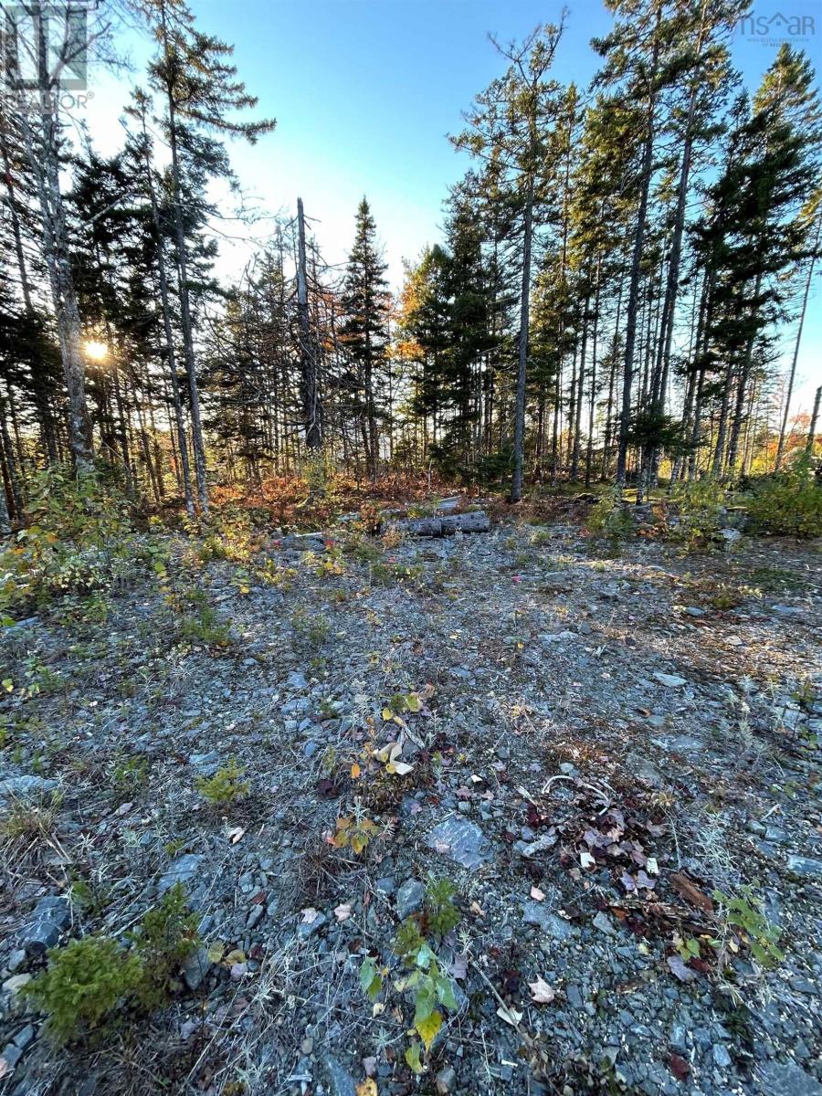 Unit 83 Heritage Way, East Uniacke, Nova Scotia  B0N 1Z0 - Photo 6 - 202424721