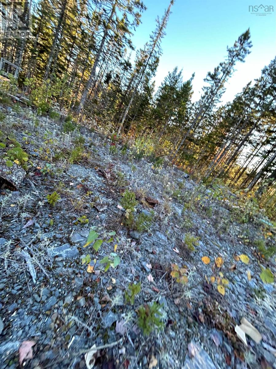 Unit 83 Heritage Way, East Uniacke, Nova Scotia  B0N 1Z0 - Photo 8 - 202424721