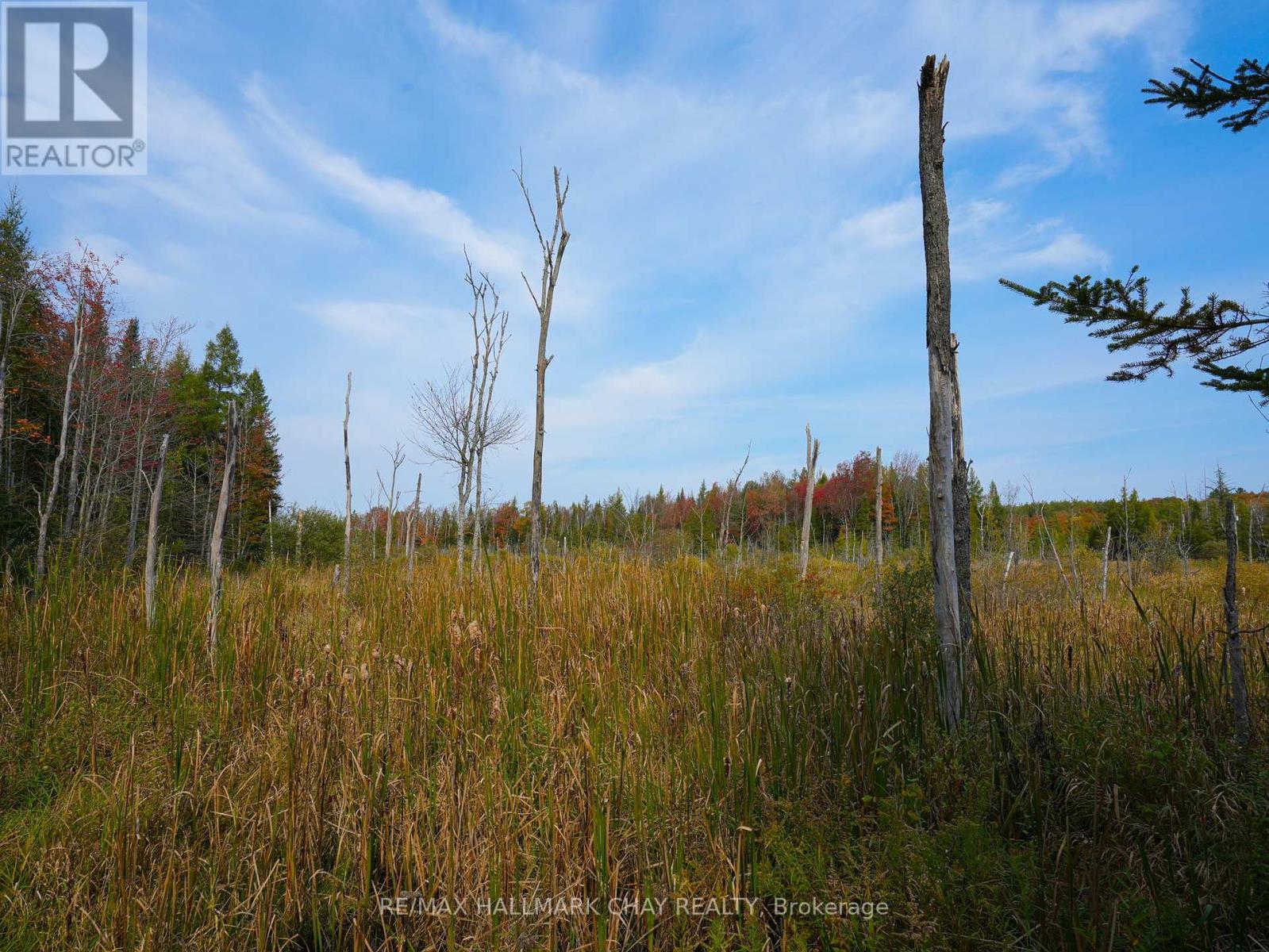 793510 Grey Road 124 Road, Grey Highlands, Ontario  N0C 1M0 - Photo 9 - X9399139