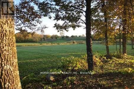 4008 & 4088 Moneymore Road, Tweed, Ontario  K0K 2L0 - Photo 7 - X9399268
