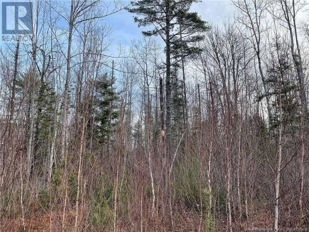 Lot 1 Route 105, Youngs Cove, New Brunswick  E4C 2C2 - Photo 6 - NB107967