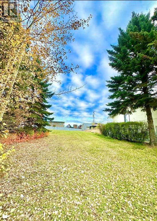 10316 103 Ave, Lac La Biche, Alberta  T0A 2C0 - Photo 3 - A1207968