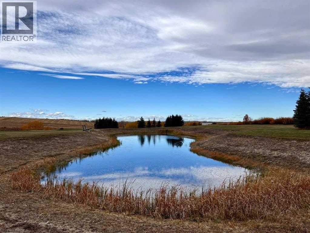 Lorem Ipsum, Rural Mountain View County, Alberta  T0M  - Photo 12 - DEMO27547644