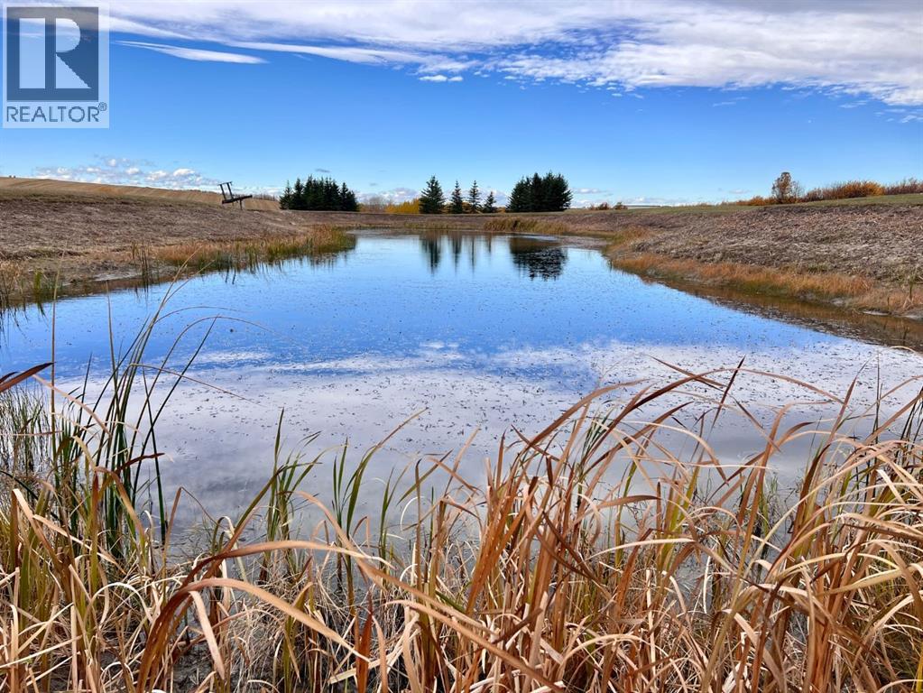 Lorem Ipsum, Rural Mountain View County, Alberta  T0M  - Photo 13 - DEMO27547644