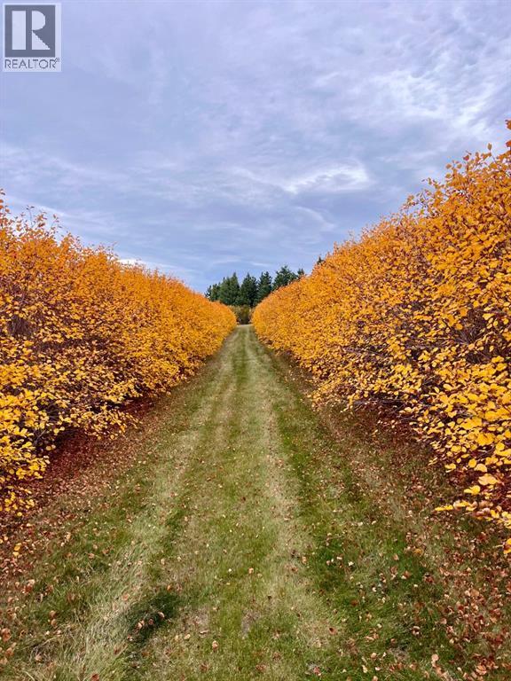 Lorem Ipsum, Rural Mountain View County, Alberta  T0M  - Photo 14 - DEMO27547644