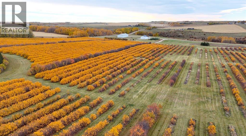 Lorem Ipsum, Rural Mountain View County, Alberta  T0M  - Photo 28 - DEMO27547644