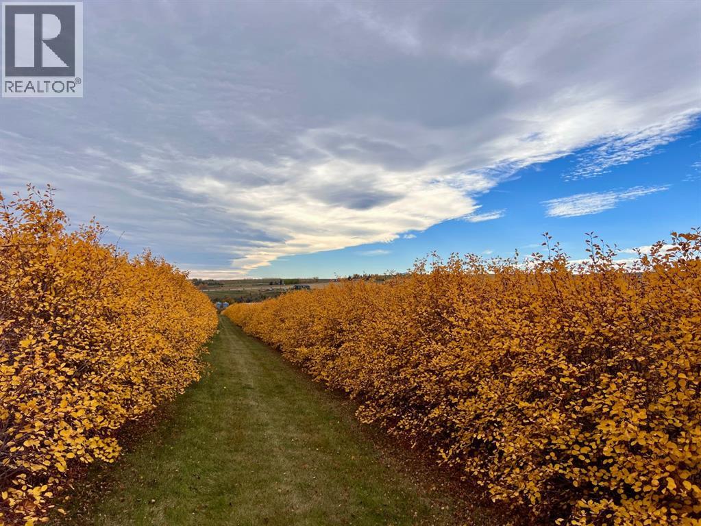 Lorem Ipsum, Rural Mountain View County, Alberta  T0M  - Photo 17 - DEMO27547644