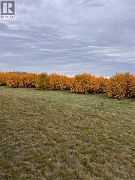 Lorem Ipsum, Rural Mountain View County, Alberta  T0M  - Photo 15 - DEMO27547644