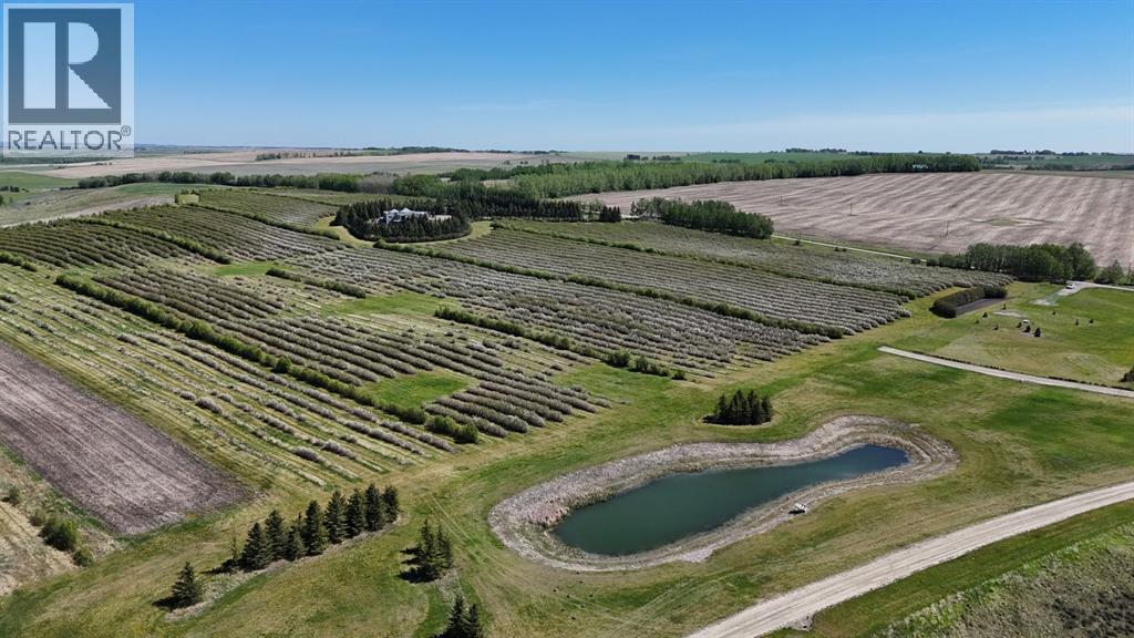 Lorem Ipsum, Rural Mountain View County, Alberta  T0M  - Photo 37 - DEMO27547644