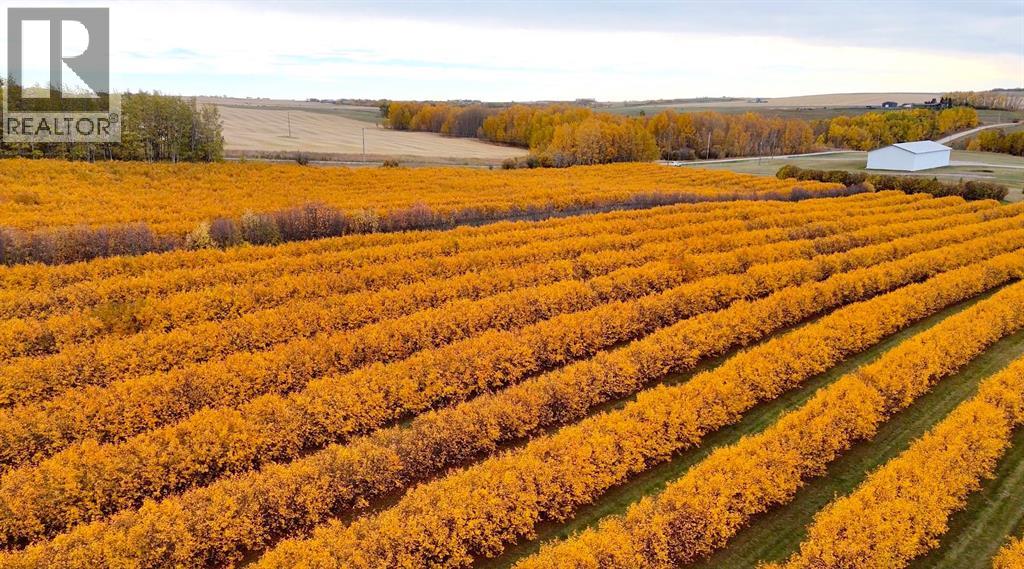 Lorem Ipsum, Rural Mountain View County, Alberta  T0M  - Photo 29 - DEMO27547644