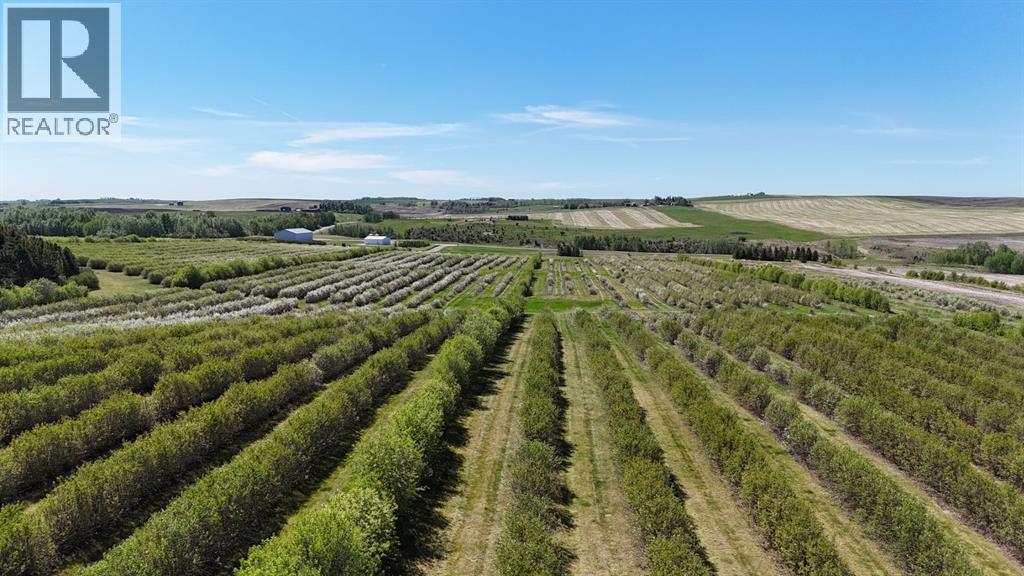 Lorem Ipsum, Rural Mountain View County, Alberta  T0M  - Photo 38 - DEMO27547644