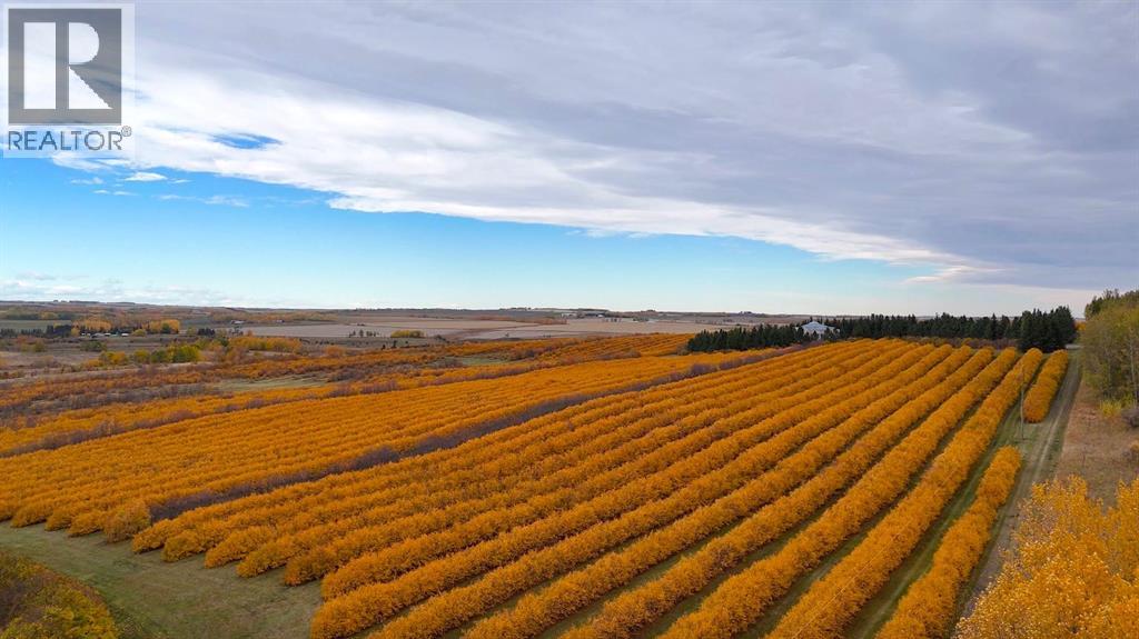 Lorem Ipsum, Rural Mountain View County, Alberta  T0M  - Photo 33 - DEMO27547644