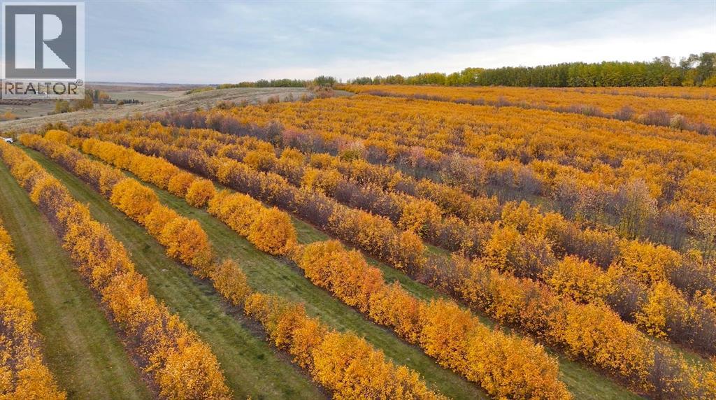 Lorem Ipsum, Rural Mountain View County, Alberta  T0M  - Photo 21 - DEMO27547644